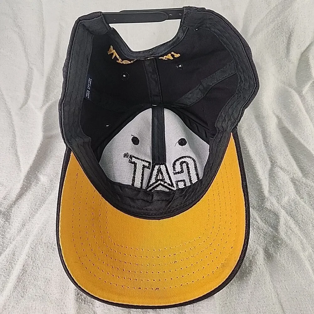 Caterpillar cap cat